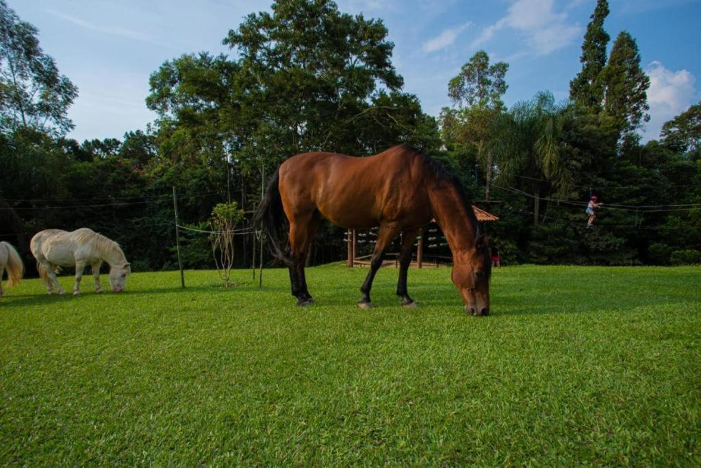 Aldeia Parque Pousada Rural São Roque エクステリア 写真