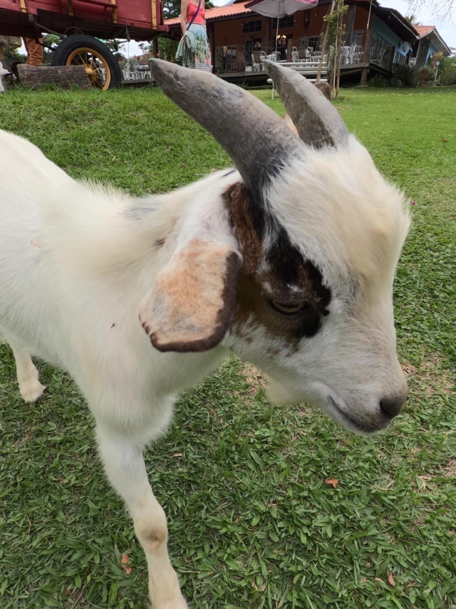 Aldeia Parque Pousada Rural São Roque エクステリア 写真