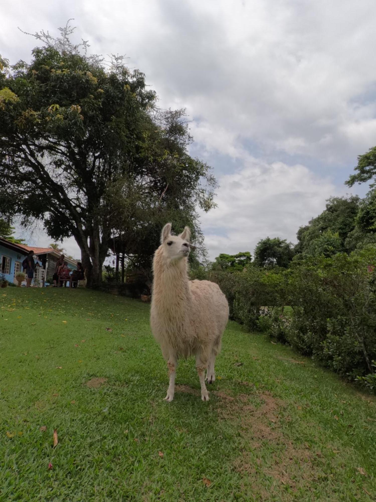 Aldeia Parque Pousada Rural São Roque エクステリア 写真