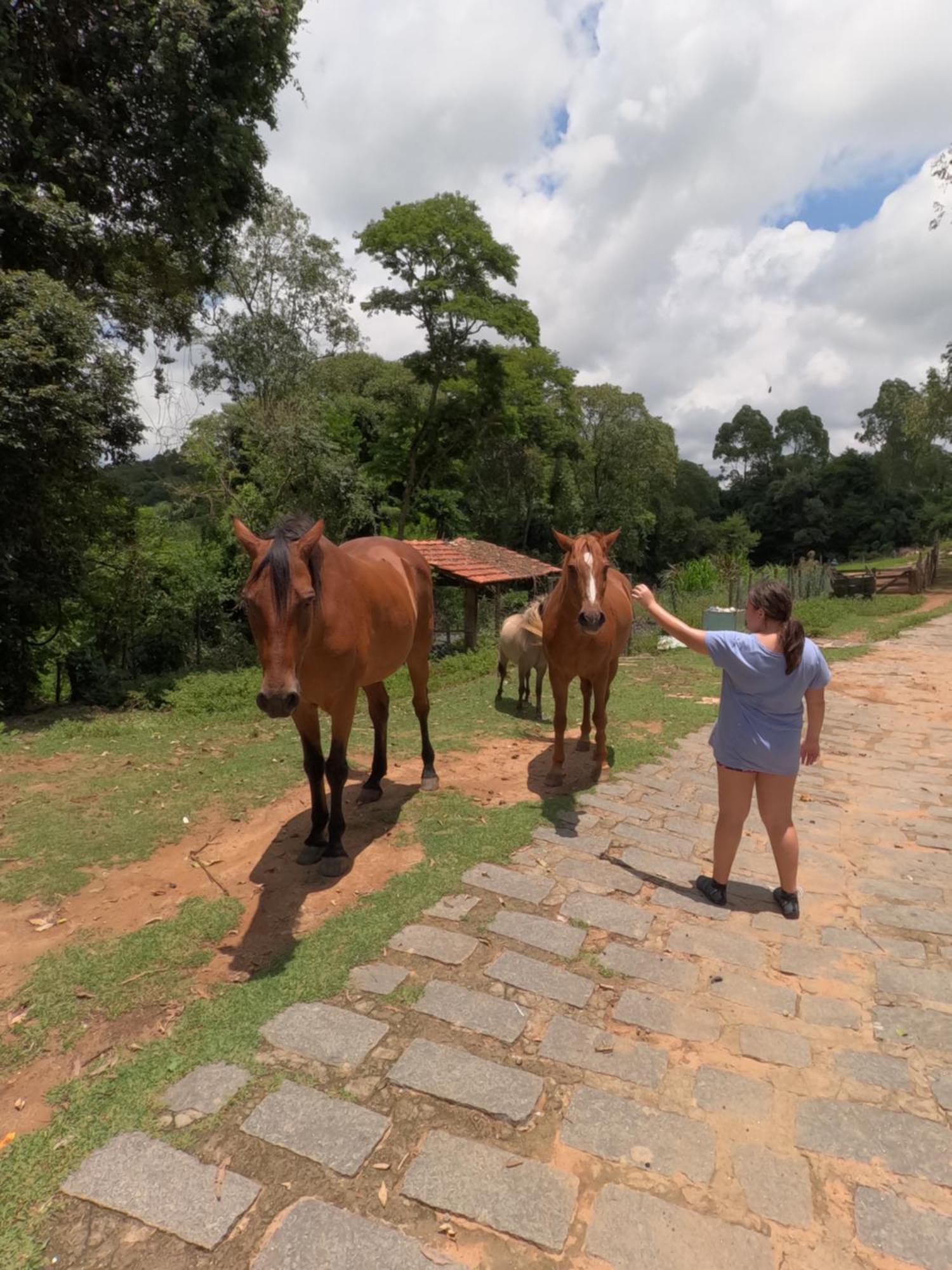 Aldeia Parque Pousada Rural São Roque エクステリア 写真