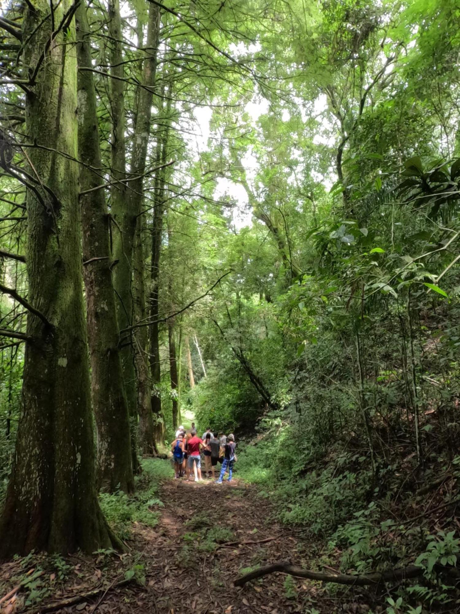 Aldeia Parque Pousada Rural São Roque エクステリア 写真